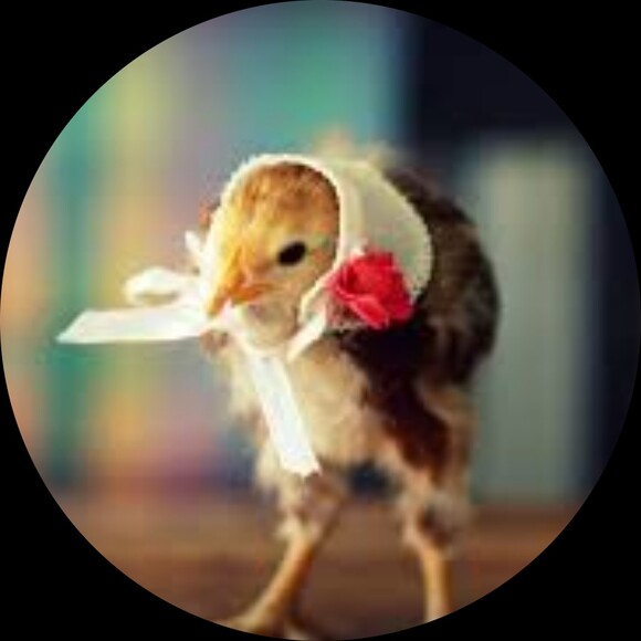 wonderful_find1